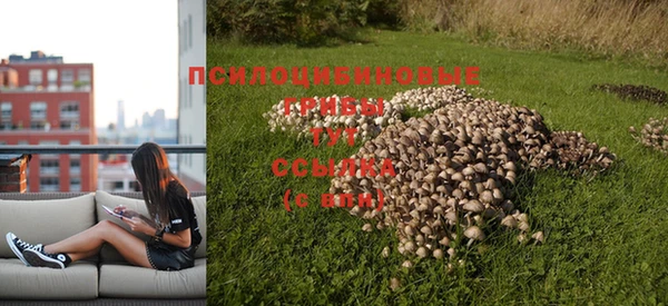 каннабис Беломорск